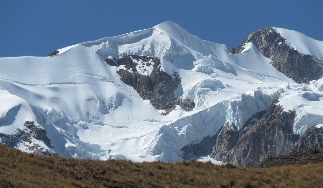 A large snow covered mountain with grass in the foreground.