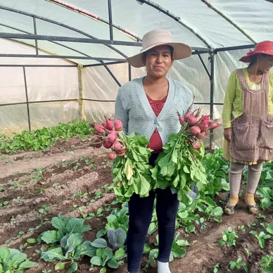 Two women holding vegetables in a greenhouse.